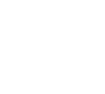 Advani Real Estate Group
